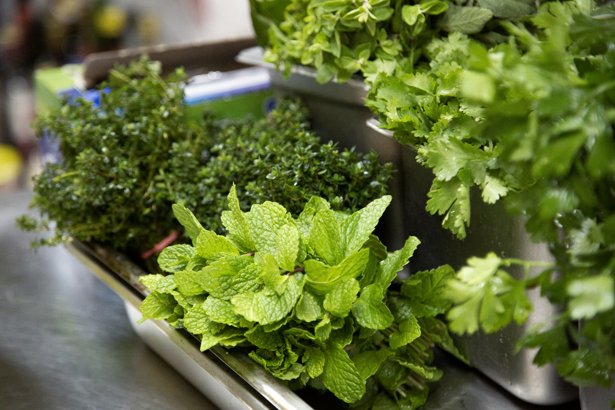 Fresh herbs used daily at Dux Gutz kitchen Brisbane